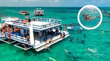 Catamarã + Mergulho Livre + Cilindro em Maracajaú